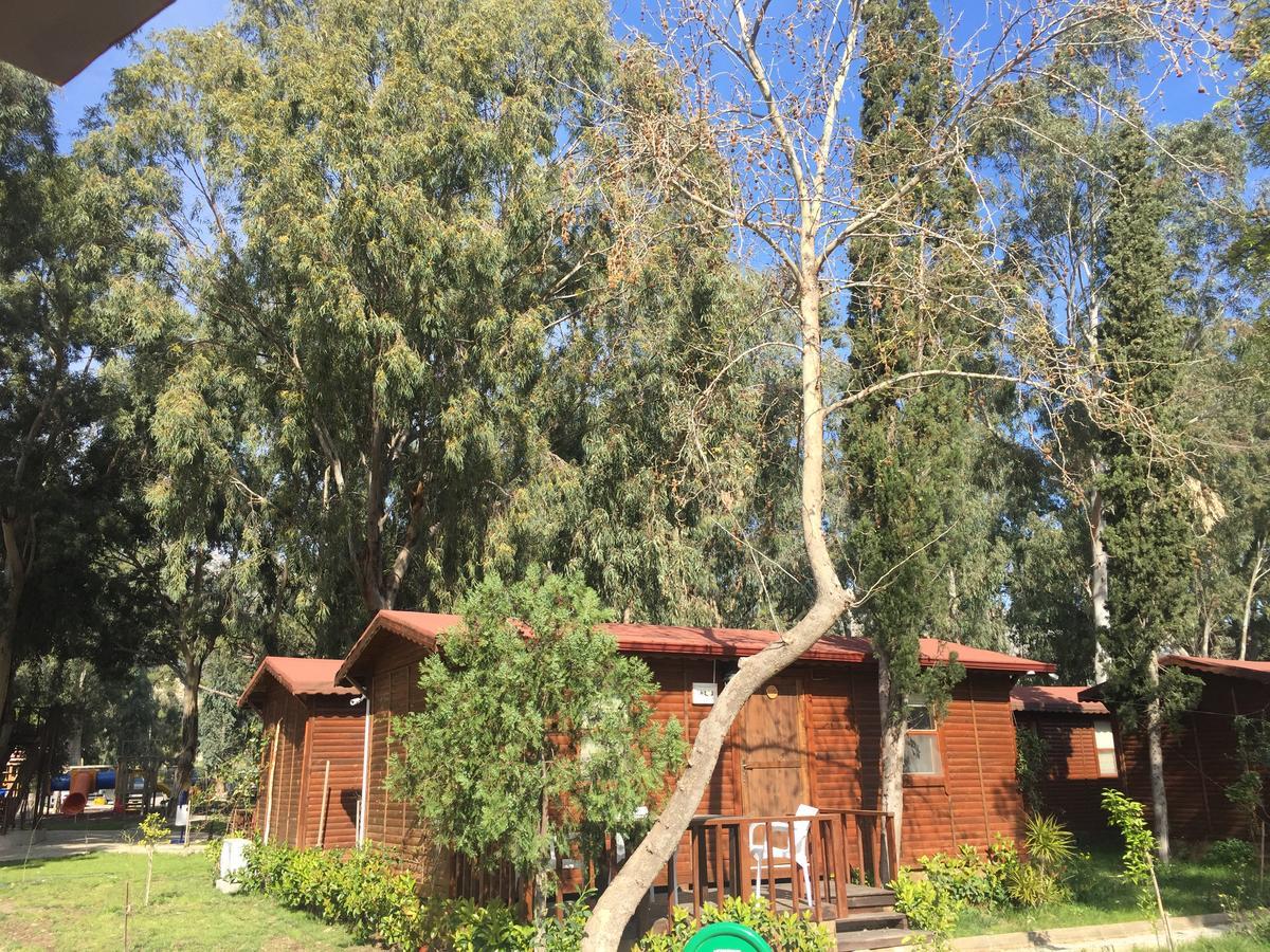 Lemonpark House Station touristique Antalya