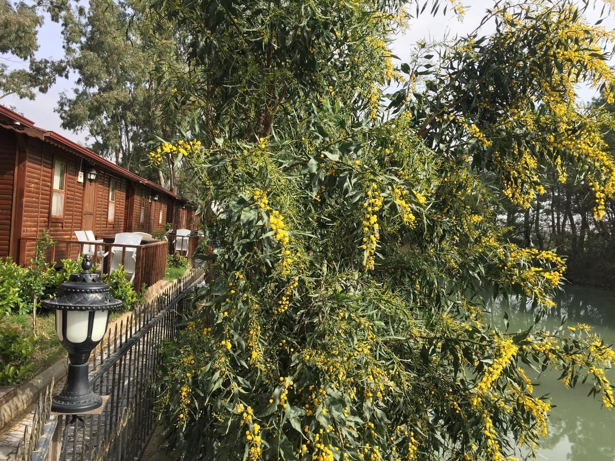 Lemonpark House Complex 3*